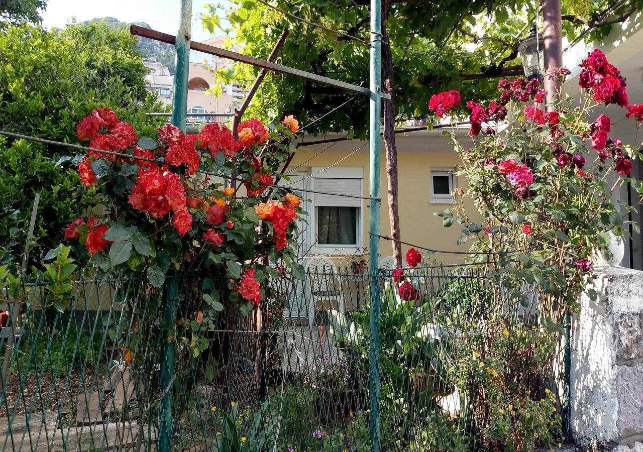 Apartman Lora Будва Экстерьер фото